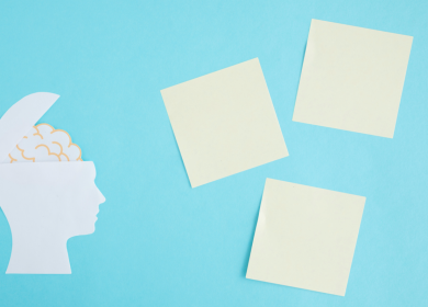 Etapas del Neurodesarrollo